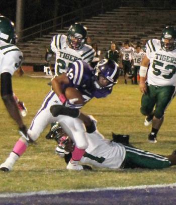 Rayne's Javon Cormier scores a touchdown Friday as the Wolves claimed a 36-0 Homecoming win over Morgan City.