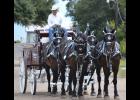 SPECIAL PARADE ENTRY: Two teams of Percheron horses will be a special added attraction to the 2013 Frog Festival Parade on Saturday, Nov. 9. 