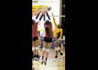Lady Wolf Niesha Domingue put down a spike during Rayne High’s win over North Vermilion. 